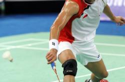 lol战绩查询-包含法国羽毛球队险胜印尼羽毛球队，陶菲克打破历史纪录的词条