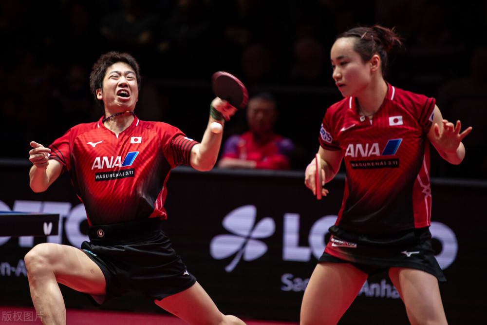 关于比利时乒乓球队鏖战波兰乒乓球队，水谷隼统治全场的信息